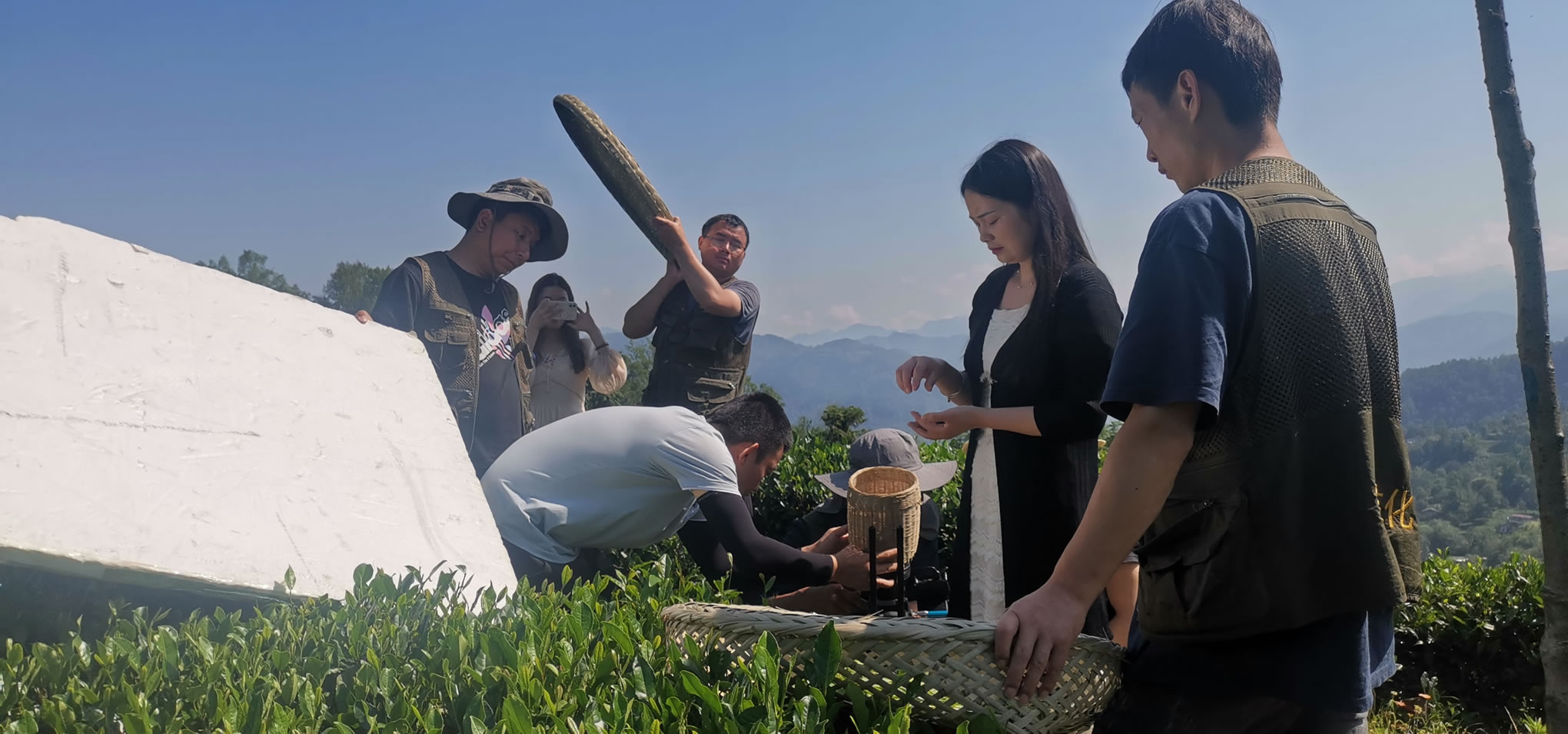 镇巴展馆三分钟展示片后期制作中