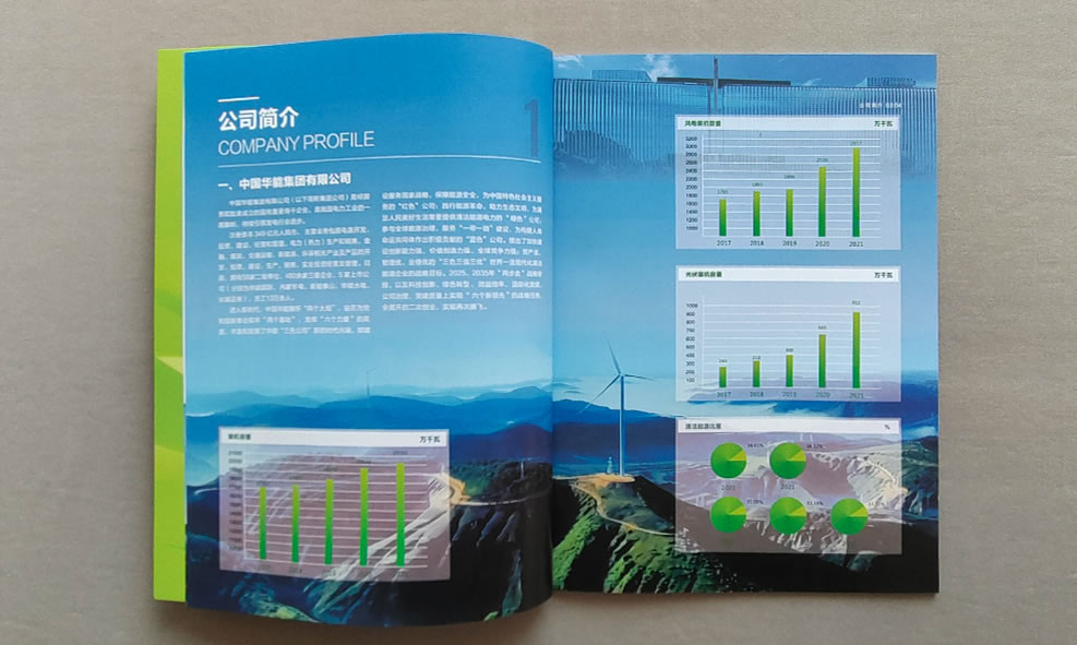 中国华能陕西新能源发电公司画册(图3) HNXNY-003.jpg